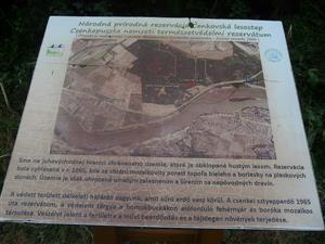 Orientačná tabuľa k NPR Čenkov, Čenkovská lesostep